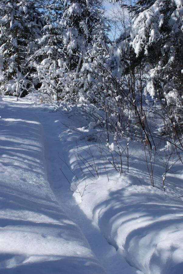 Top Of Algonquin Bed And Breakfast Mattawa Εξωτερικό φωτογραφία